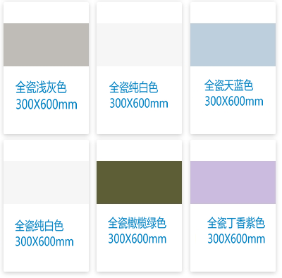 300X600mm高级全瓷纯色砖彩色集合